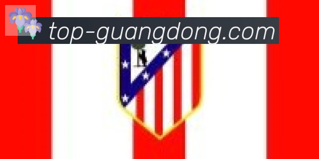广东体彩合作伙伴