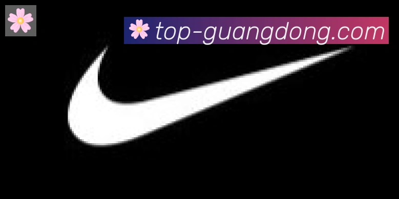广东体彩合作伙伴